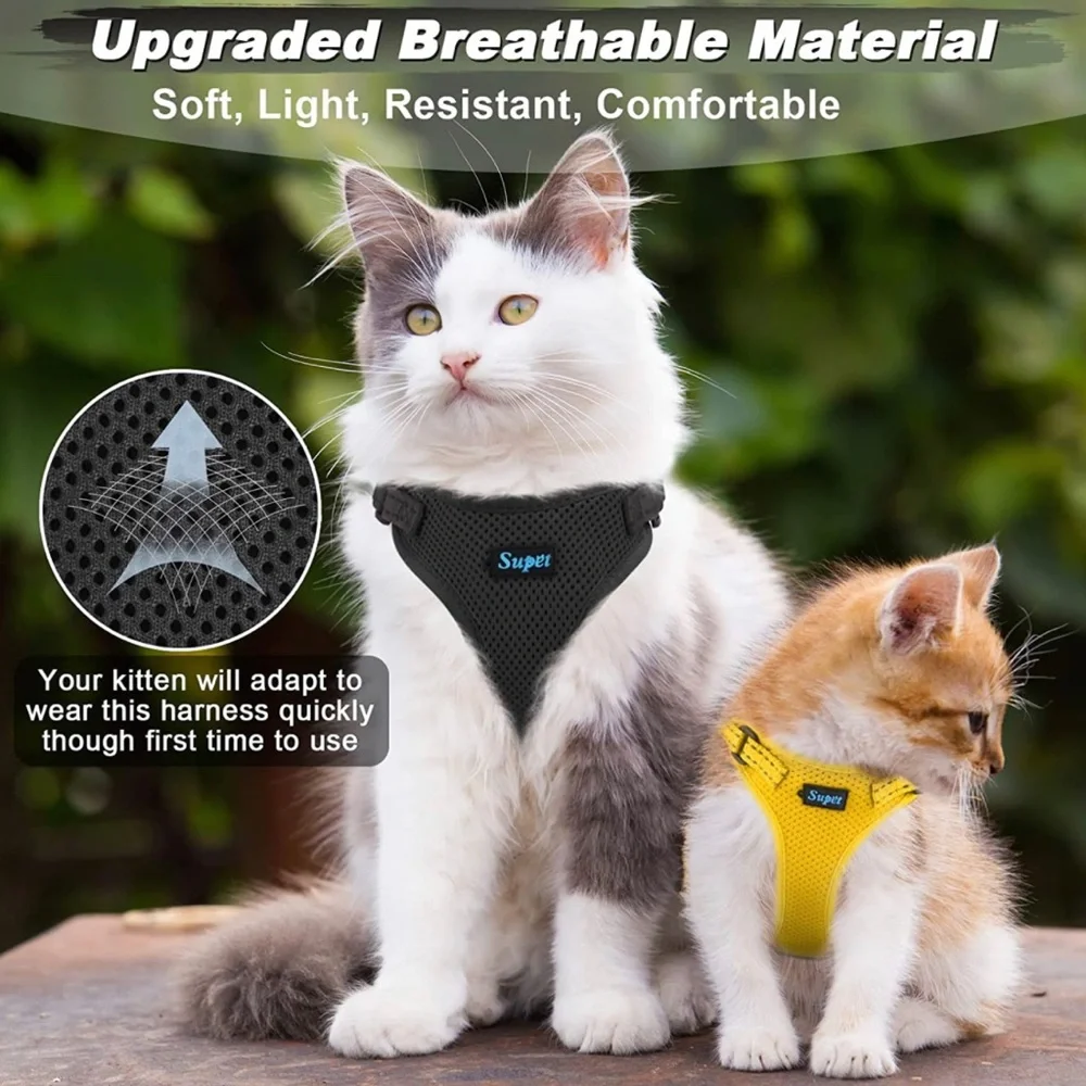 NWOT Black Size Small Cat or Puppy Harness & Leash Set